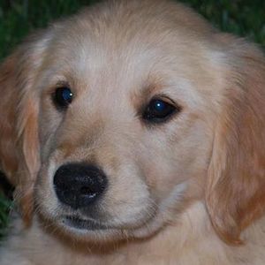 Meet your Posher, Sean zachary